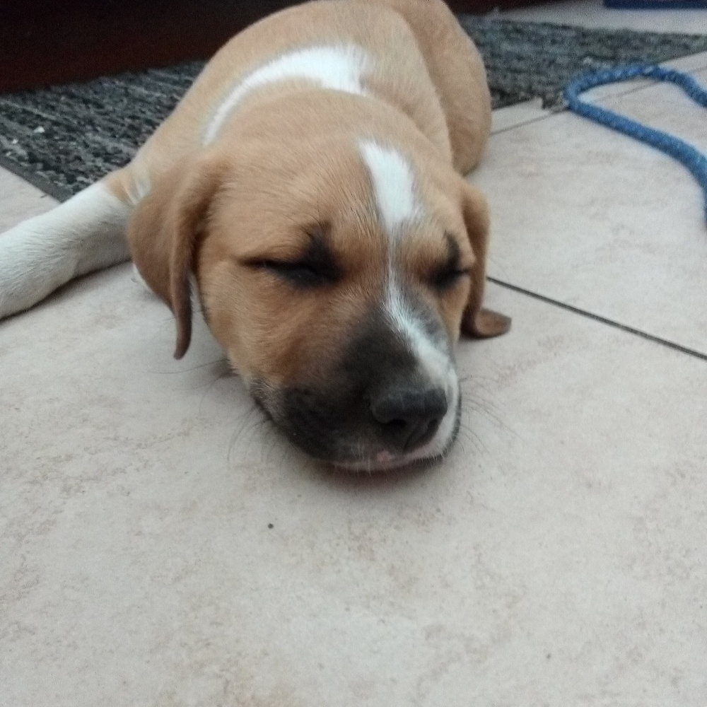 Meet your Posher, Noemy